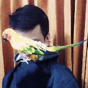 ʵҿ